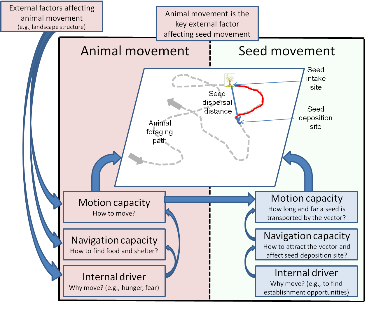 seed dispersal framework